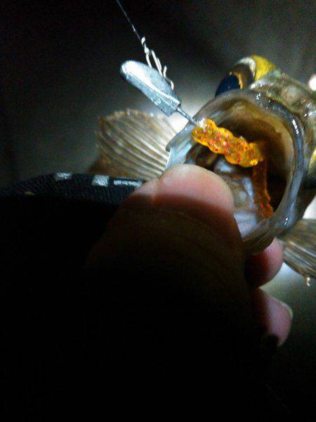 潮のタイミング